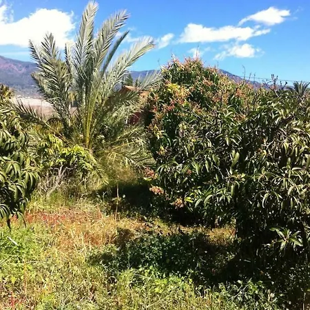 Casa Rural Finca El Dial 기마르